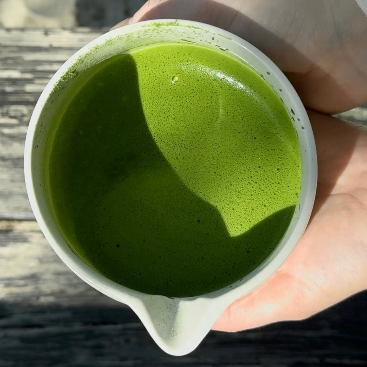 Pack de BAMBÚ MATCHA